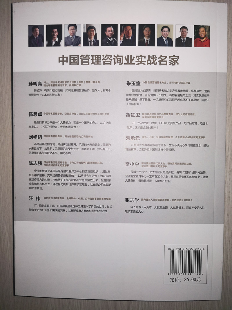 中國(guó)管理咨詢業(yè)實(shí)戰(zhàn)名家背面